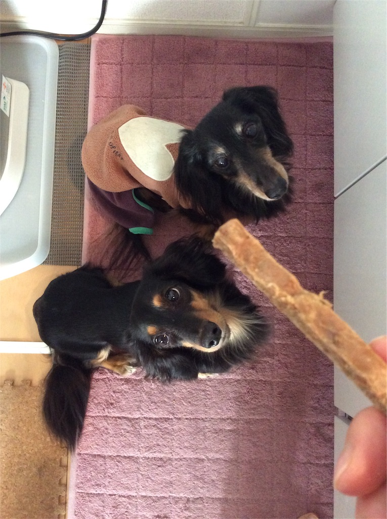 f:id:dogpalette40:20180120184045j:plain f:id:dogpalette40:20180120184045j:plain