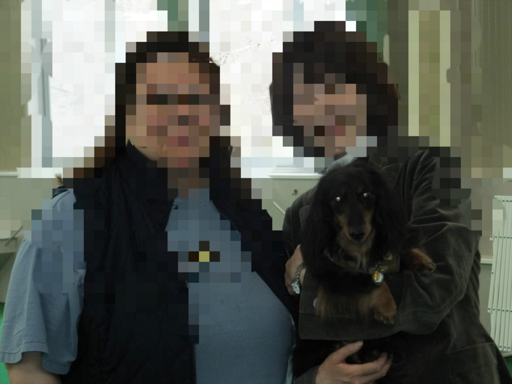 f:id:dogpalette40:20180228193024j:plain f:id:dogpalette40:20180228193024j:plain