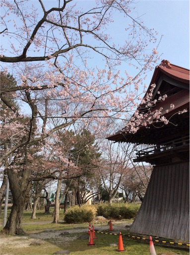 f:id:dogpalette40:20180402173719j:image