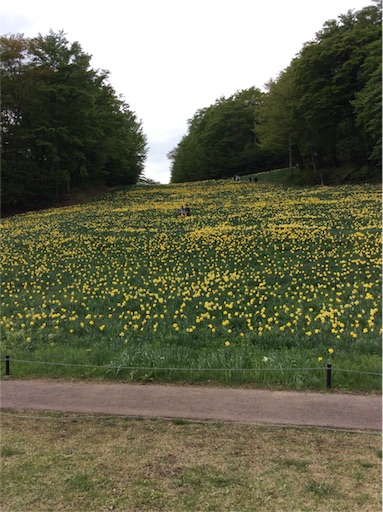 f:id:dogpalette40:20180509113803j:image