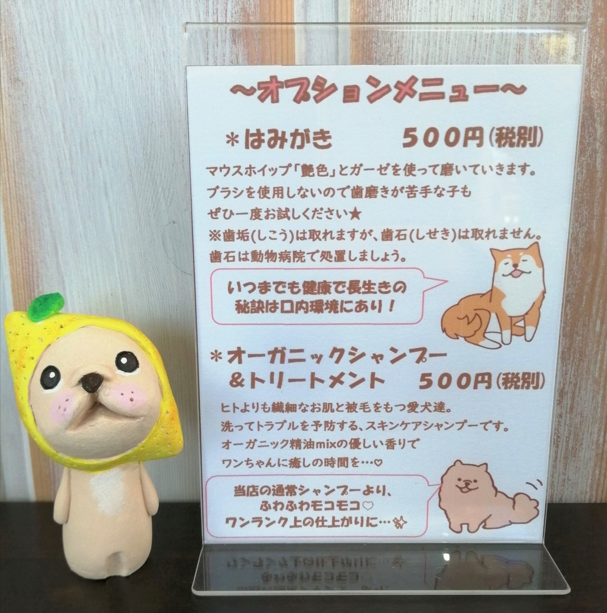 f:id:dogsalon-oluolu:20200305153021j:plain f:id:dogsalon-oluolu:20200305153021j:plain