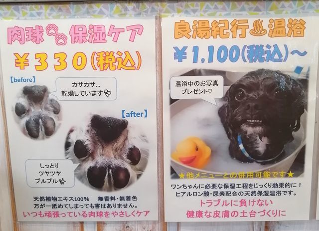 f:id:dogsalon-oluolu:20201207171804j:plain