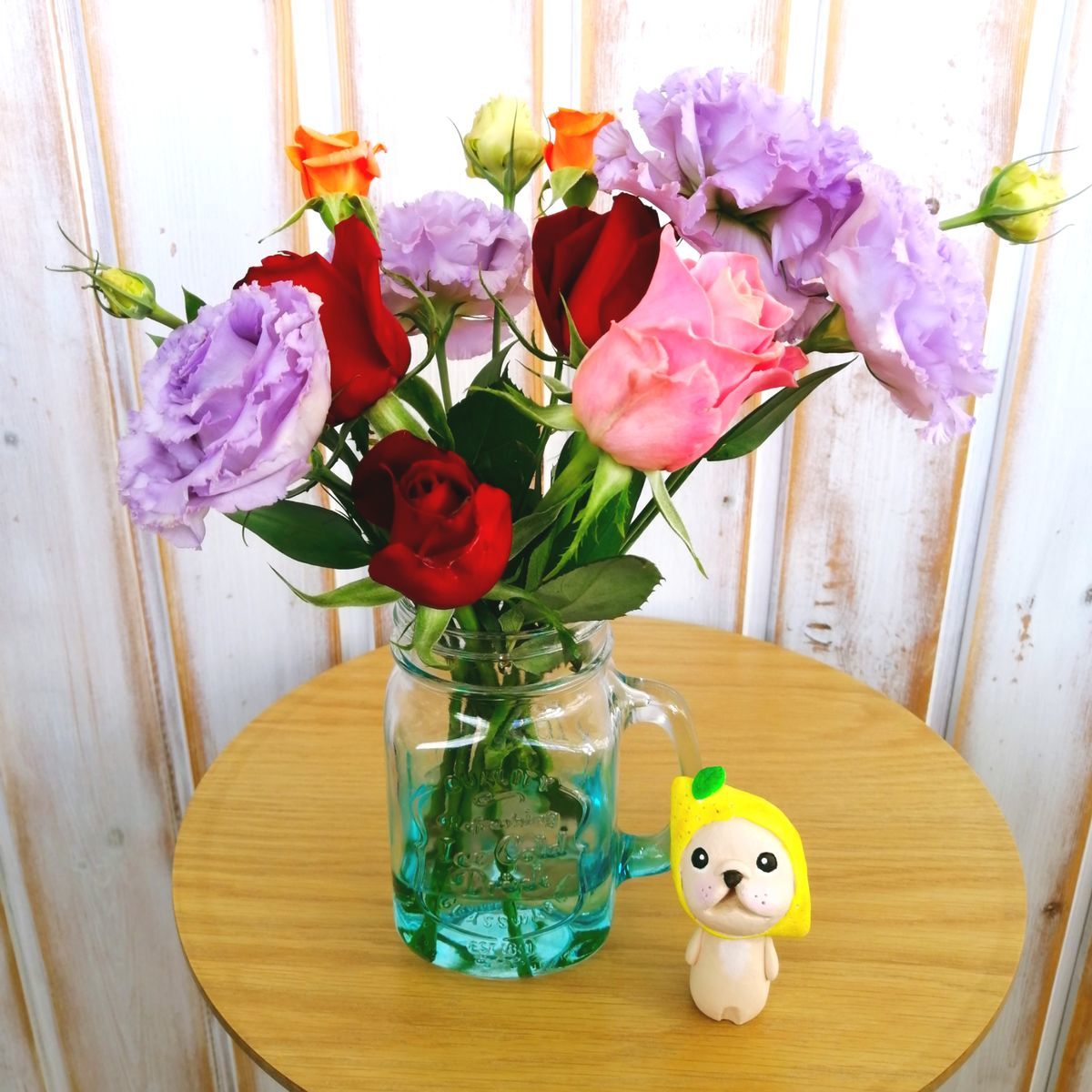 f:id:dogsalon-oluolu:20210109151201j:plain