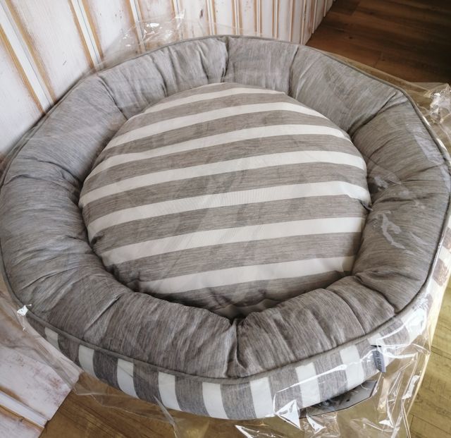 f:id:dogsalon-oluolu:20210319130818j:plain