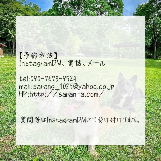 f:id:dogsalon-oluolu:20211215200617j:plain