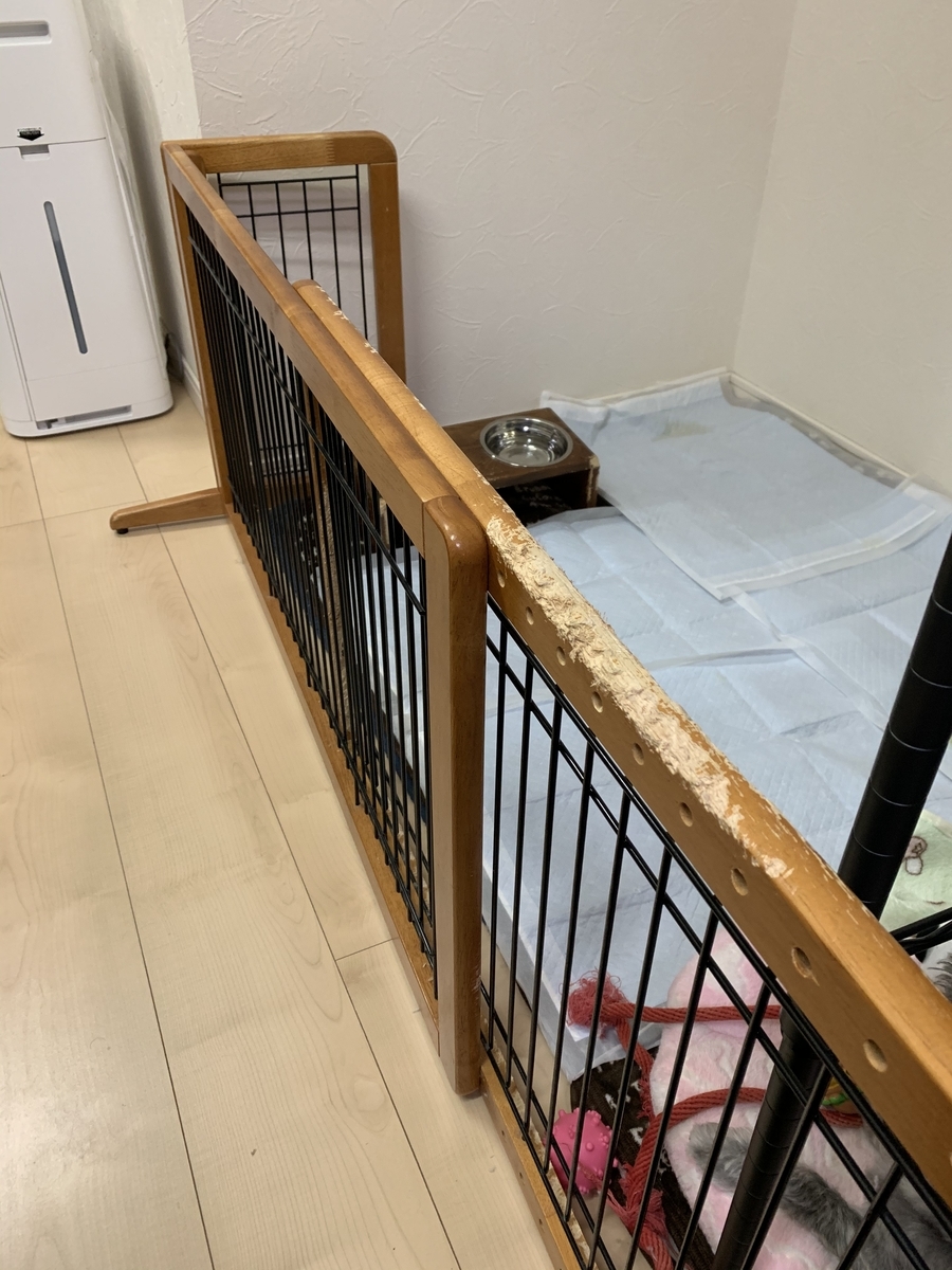 f:id:dogspace:20200307205557j:plain f:id:dogspace:20200307205557j:plain