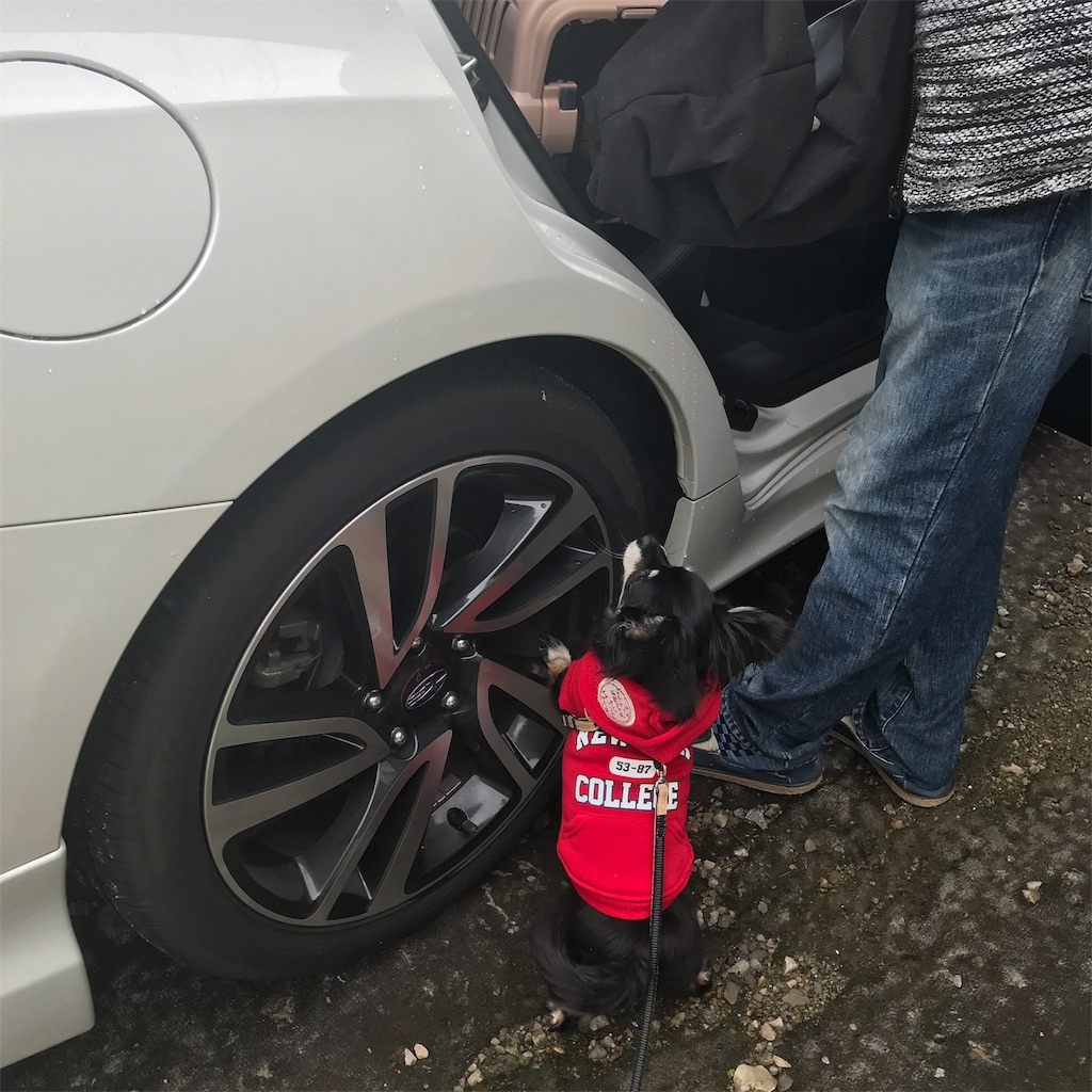 f:id:dogsss:20191028132359j:image