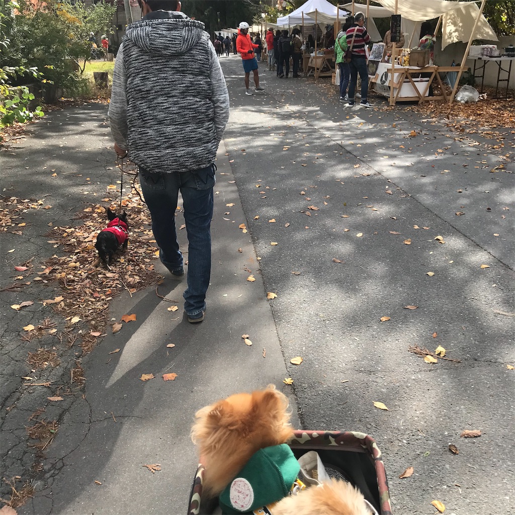 f:id:dogsss:20191028132528j:image