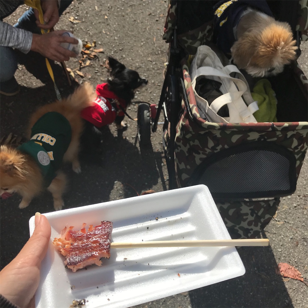f:id:dogsss:20191028132553j:image