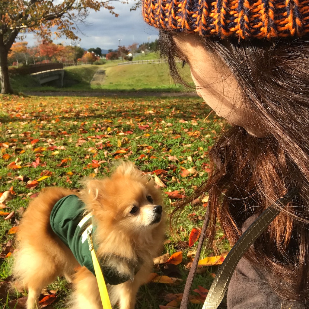 f:id:dogsss:20191028134649j:image