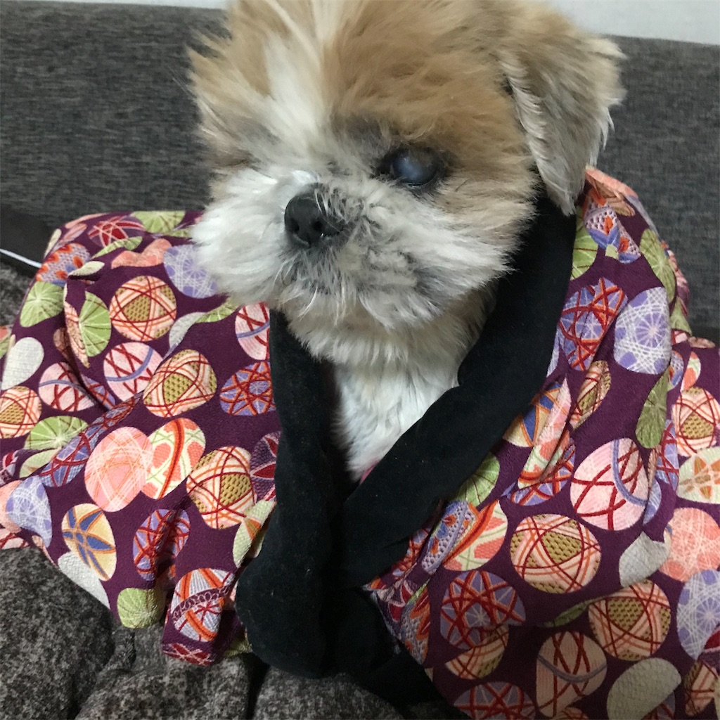 f:id:dogsss:20191030201215j:image