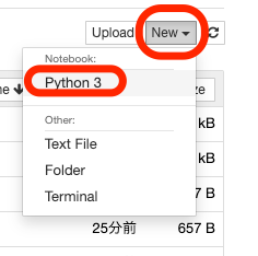 Python 3を選択