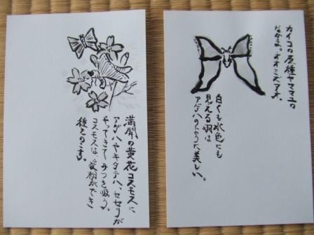 f:id:dohgen:20081211113449j:image f:id:dohgen:20081211113449j:image