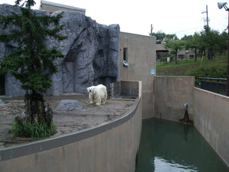f:id:dohgen:20090916155646j:image