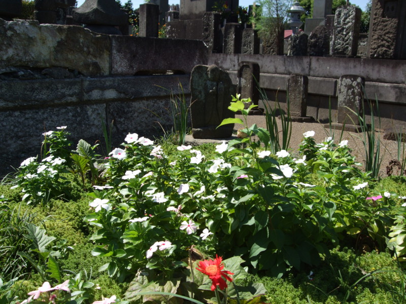 f:id:dohgen:20090920111317j:image
