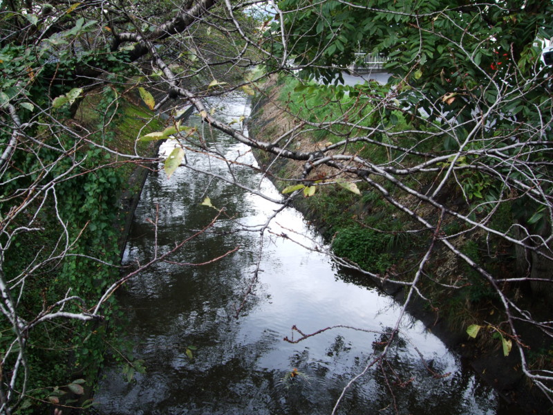 f:id:dohgen:20091003103229j:image