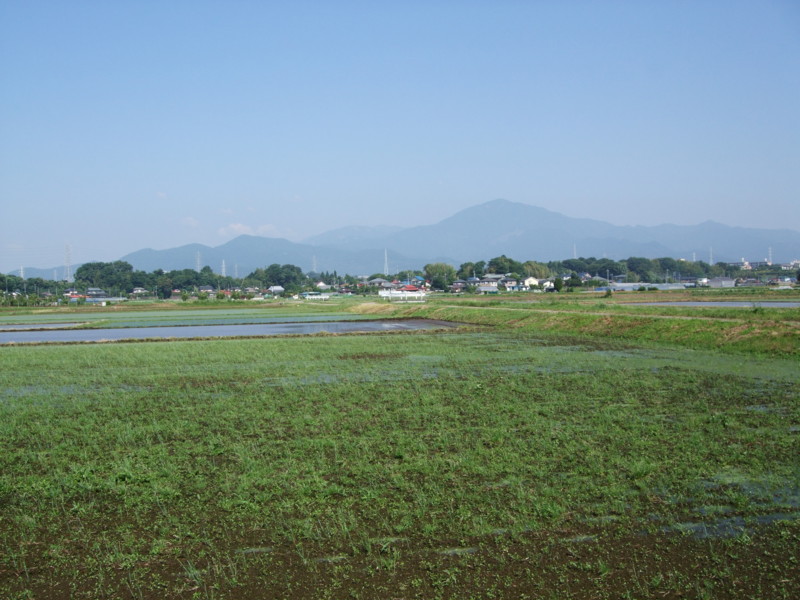 f:id:dohgen:20100610083135j:image f:id:dohgen:20100610083135j:image