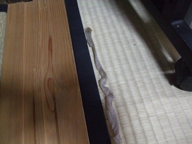 f:id:dohgen:20100610090328j:image f:id:dohgen:20100610090328j:image