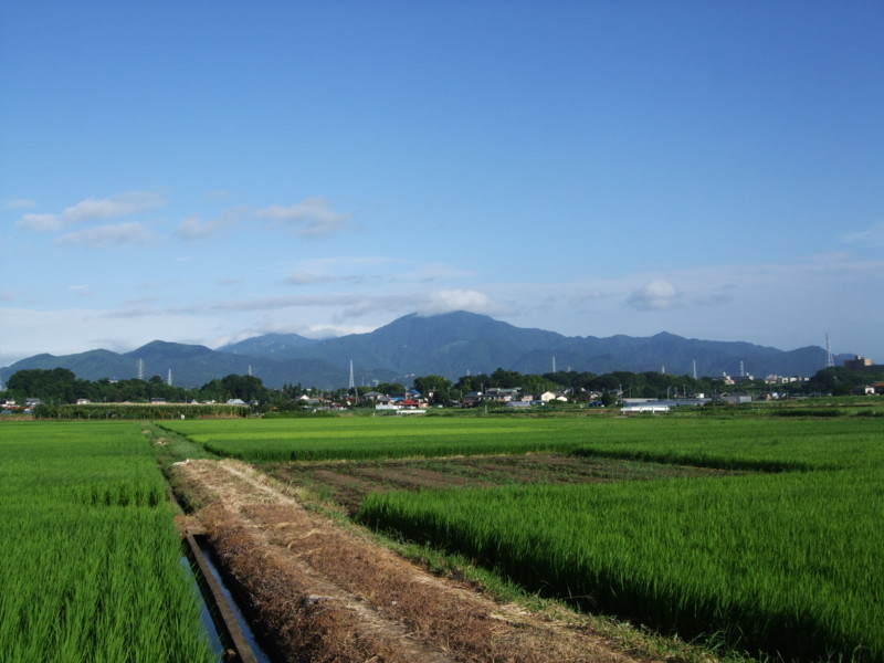 f:id:dohgen:20100803064751j:image