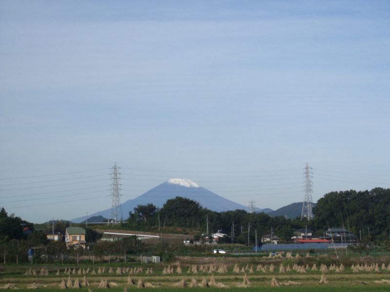 f:id:dohgen:20101102081145j:image