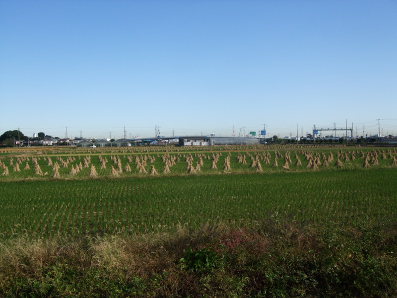 f:id:dohgen:20101102081204j:image