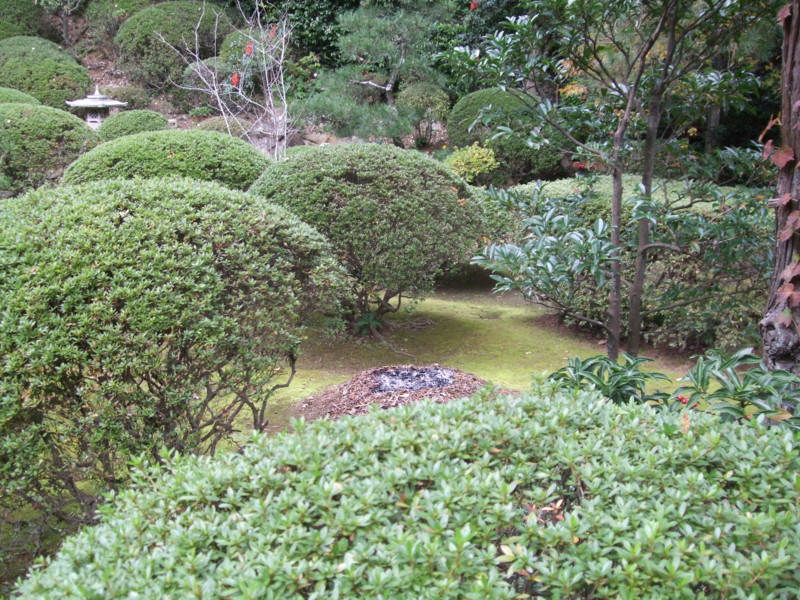 f:id:dohgen:20101115113403j:image