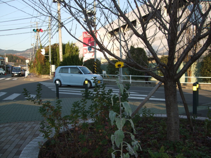 f:id:dohgen:20101218151836j:image f:id:dohgen:20101218151836j:image
