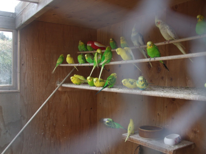f:id:dohgen:20110317130203j:image