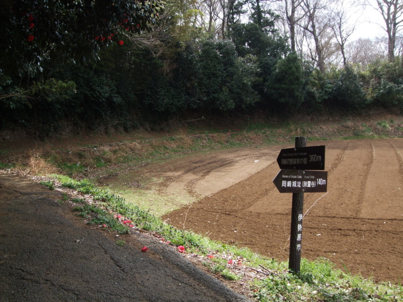 f:id:dohgen:20110317131133j:image