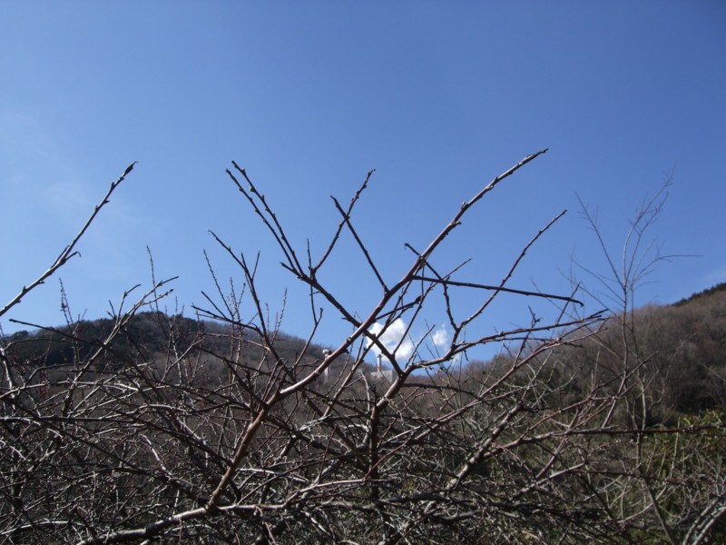 f:id:dohgen:20110318144226j:image