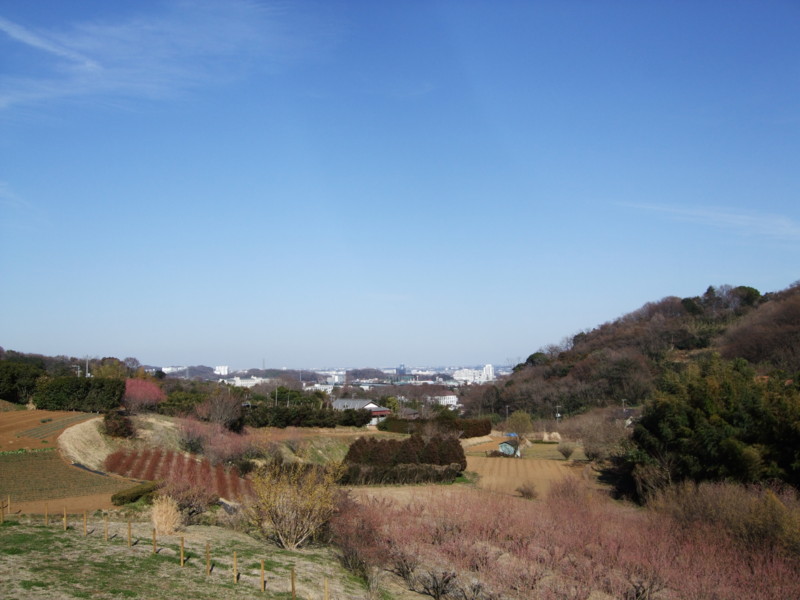 f:id:dohgen:20110318150639j:image