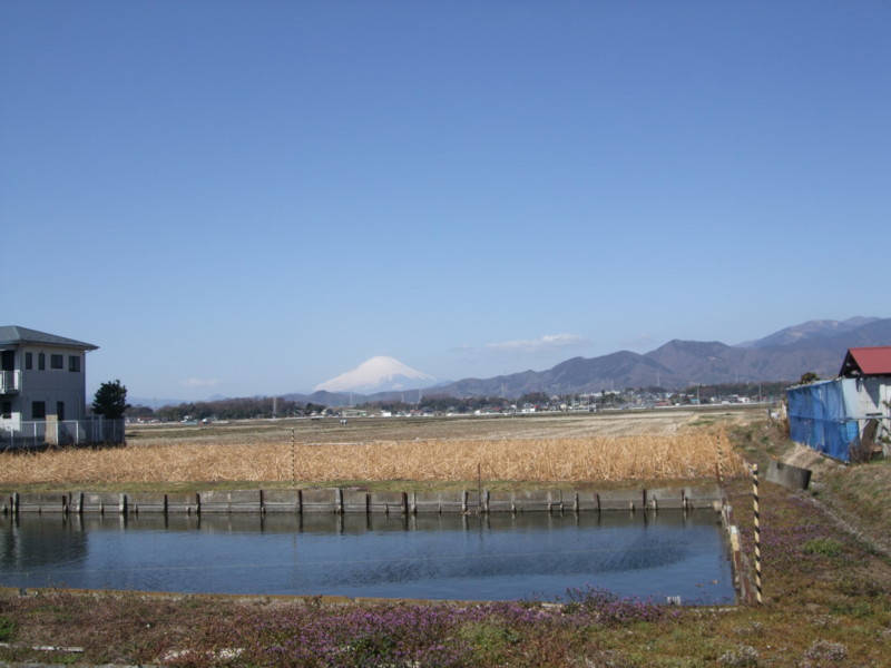 f:id:dohgen:20110319093218j:image