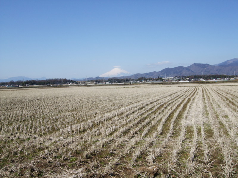f:id:dohgen:20110319094710j:image