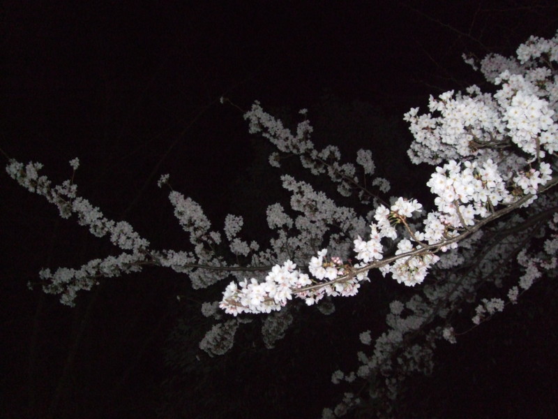 f:id:dohgen:20110407212151j:image