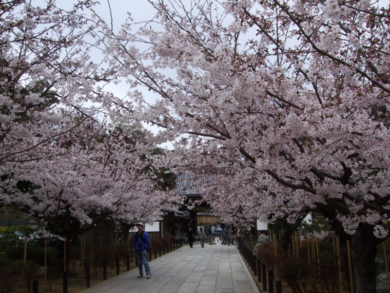 f:id:dohgen:20110408083705j:image