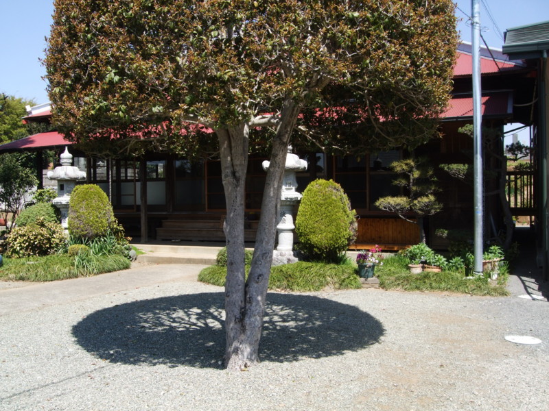 f:id:dohgen:20110413103050j:image