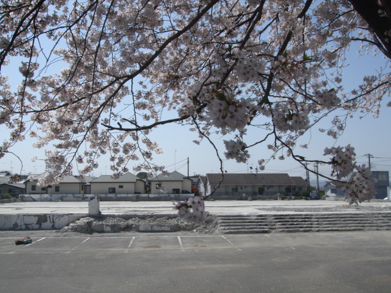 f:id:dohgen:20110414100035j:image