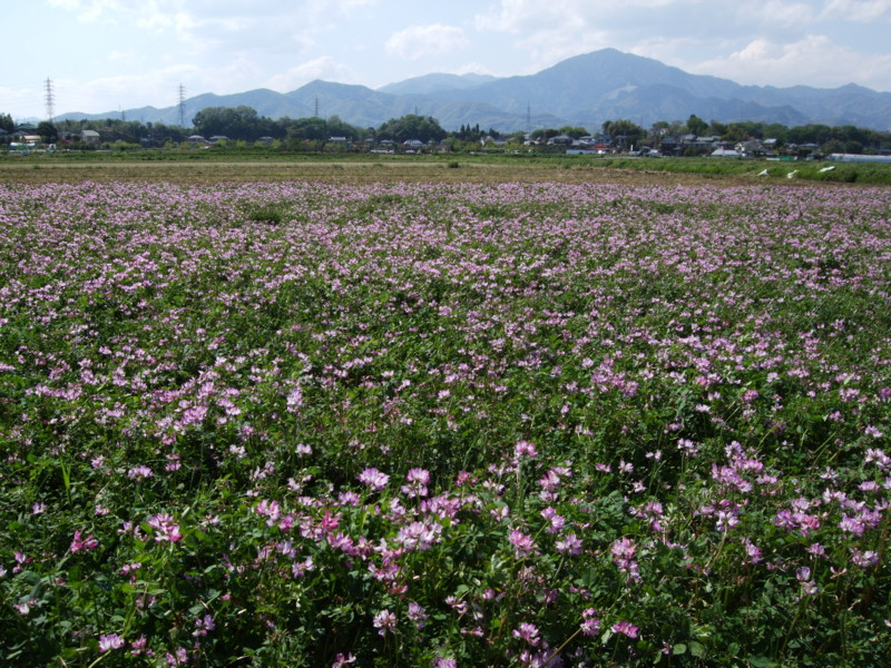 f:id:dohgen:20110425135713j:image