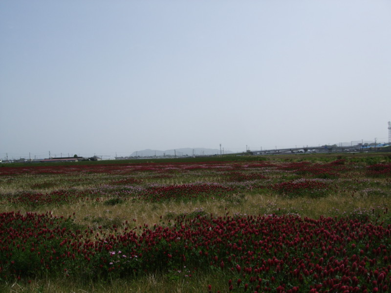 f:id:dohgen:20110502140949j:image:w640 f:id:dohgen:20110502140949j:image:w640