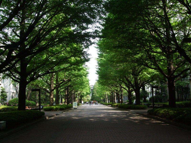 f:id:dohgen:20110504145206j:image:w360