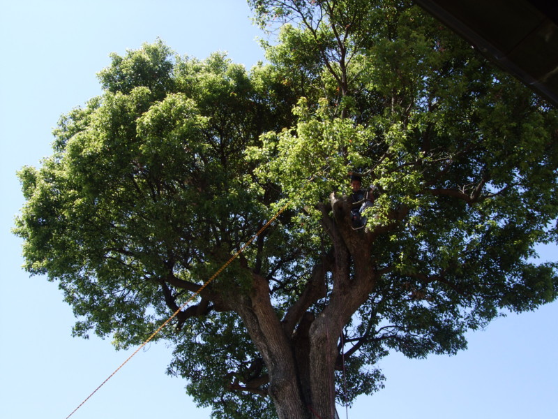 f:id:dohgen:20110515094354j:image:w640