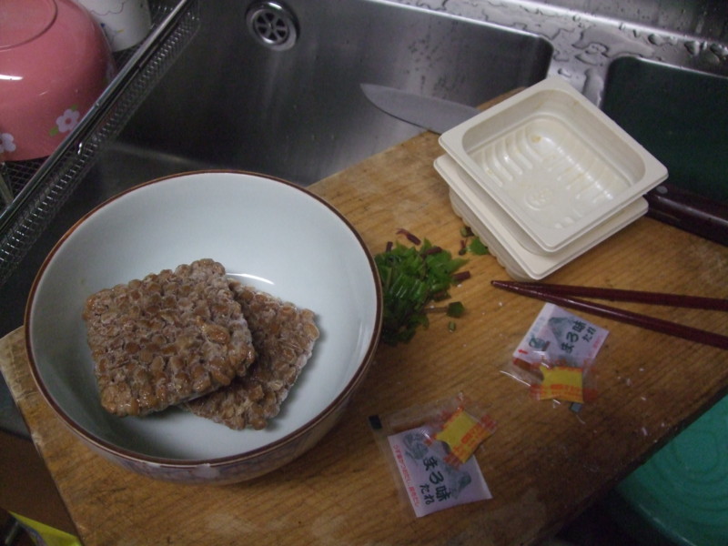 f:id:dohgen:20110618045529j:image:w360