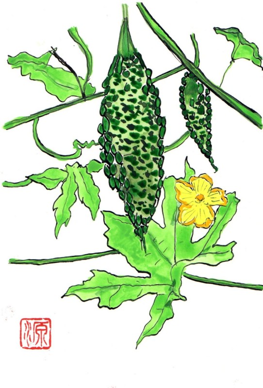 f:id:dohgen:20110722203653j:image:w360