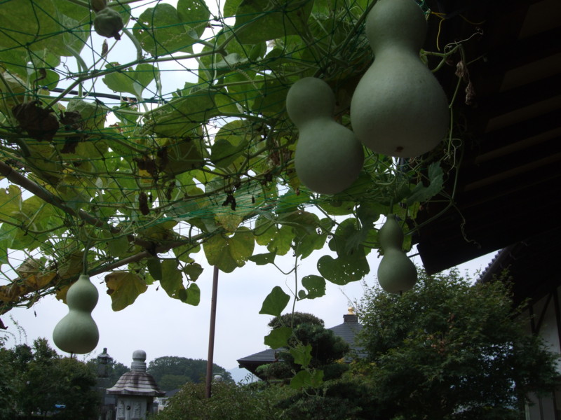 f:id:dohgen:20110813111359j:image:w360
