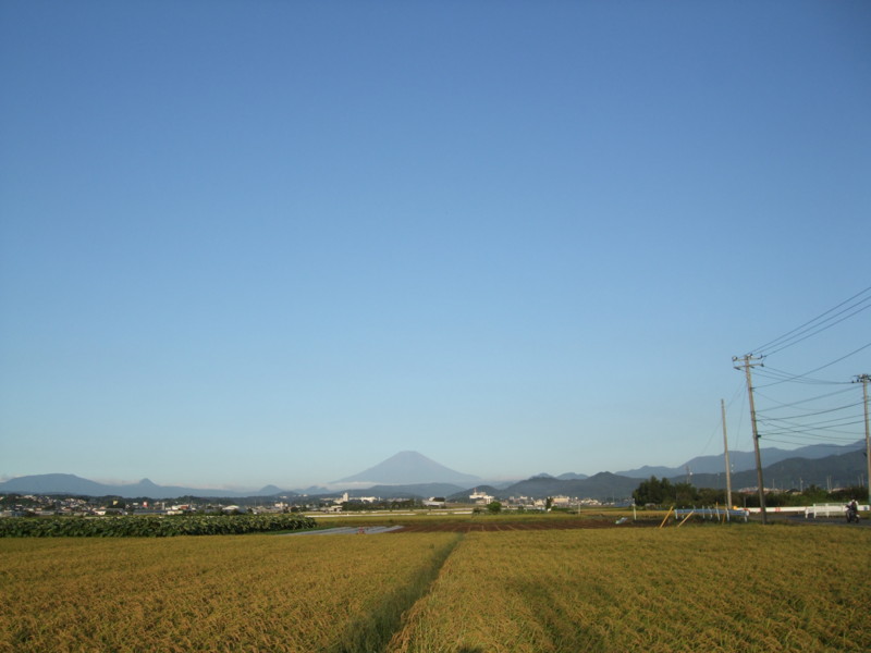 f:id:dohgen:20110919060207j:image:w360