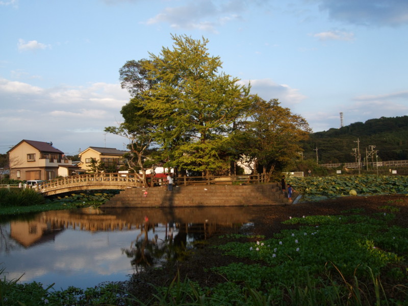f:id:dohgen:20110919164813j:image:w360