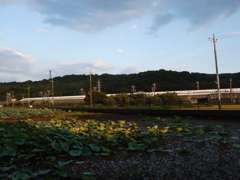 f:id:dohgen:20110919164914j:image:w360