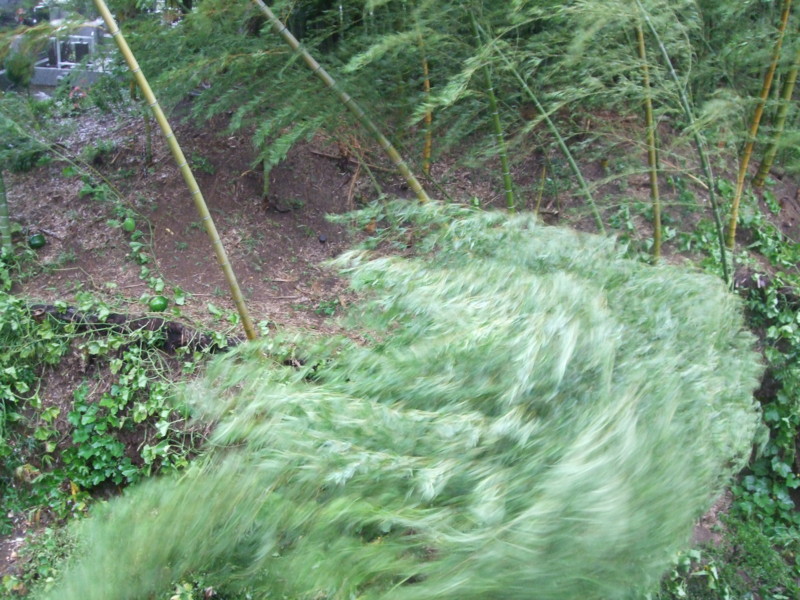 f:id:dohgen:20110921152122j:image:w360
