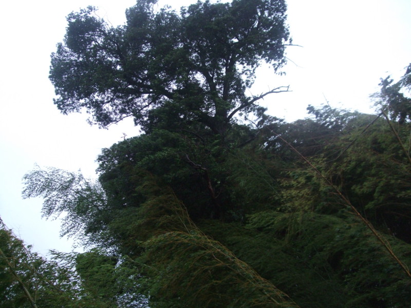 f:id:dohgen:20110921152148j:image:w360