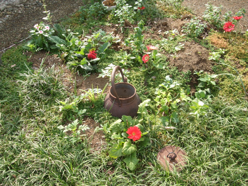 f:id:dohgen:20111107132355j:image:w360 f:id:dohgen:20111107132355j:image:w360
